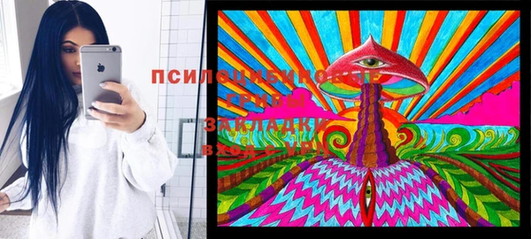 шишки Алексеевка