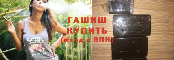 стаф Алзамай