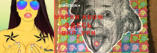 стаф Алзамай