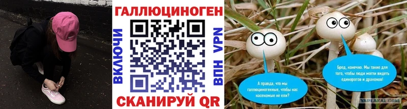 Галлюциногенные грибы ЛСД  ссылка на мегу ссылки  Порхов 